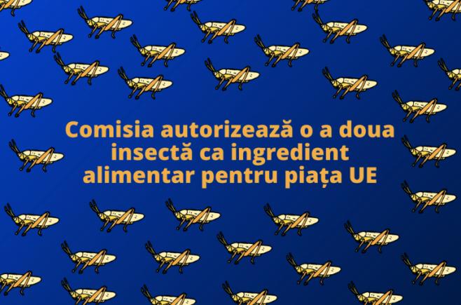 Comisia Europeană a autorizat o a doua insectă ca ingredient alimentar pentru piața UE