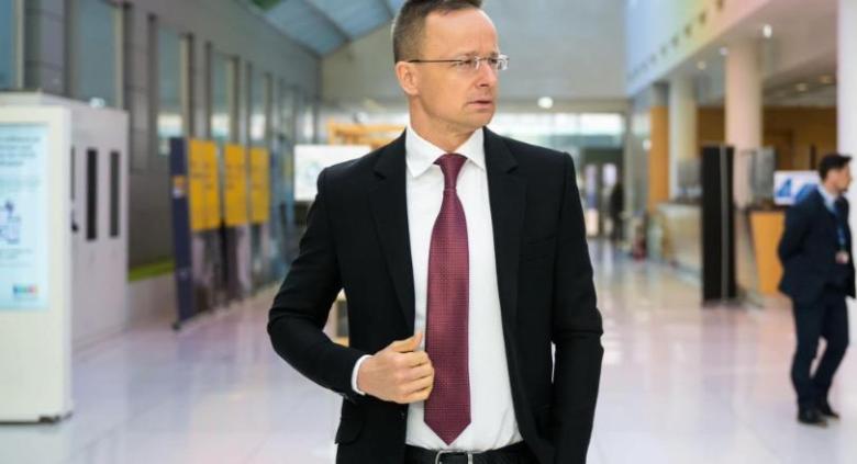 Consiliului Europei a apelat la Comisia de la Veneția în problema minorităților din Ucraina la cererea Ungariei si României