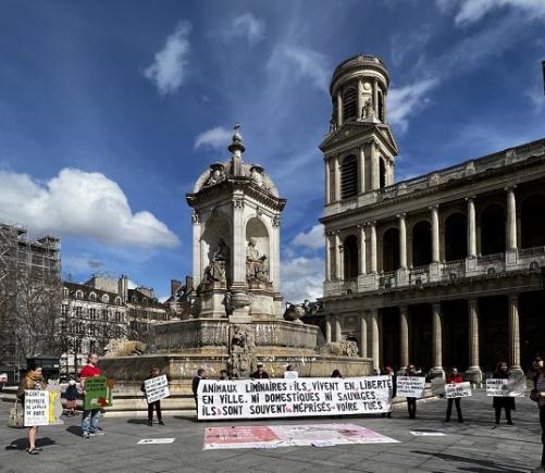 Paris: o manifestație în apărarea șobolanilor în timp ce gunoierii sunt în grevă: "sunt animale uimitoare, inteligente, sociale și chiar empatice"