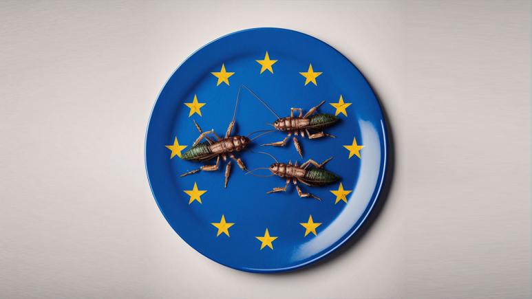 "Impulsul pentru consumul de insecte este un test de conformitate deoarece politicienii știu că atunci când controlează alimentele, controlează oamenii", spune o activistă din Olanda