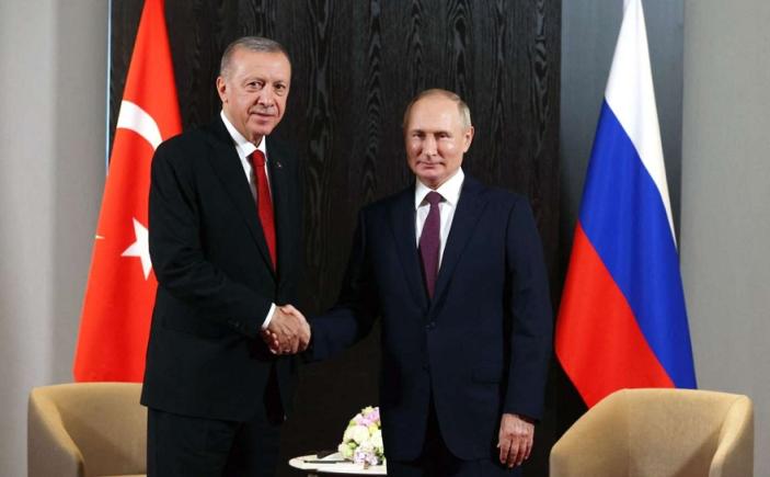 Putin: "vom coopera cu Ankara pentru a trimite gaze către țări terțe"