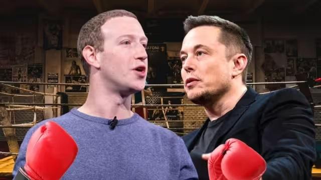 „Trimite-mi adresa”: Elon Musk se va lupta pe ring cu Mark Zuckerberg 