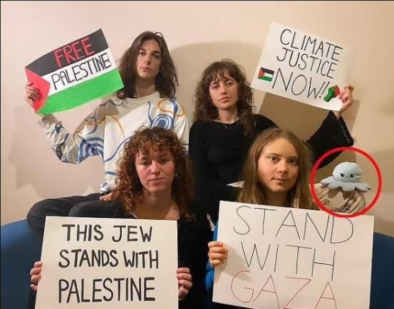 Un oficial israelian o critică pe Greta Thunberg după ce aceasta a spus că îi sprijină pe palestinienii din Gaza