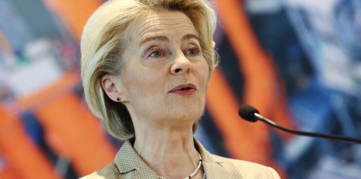 Site-ul web al campaniei Ursulei Von der Leyen a fost lovit de un atac cibernetic