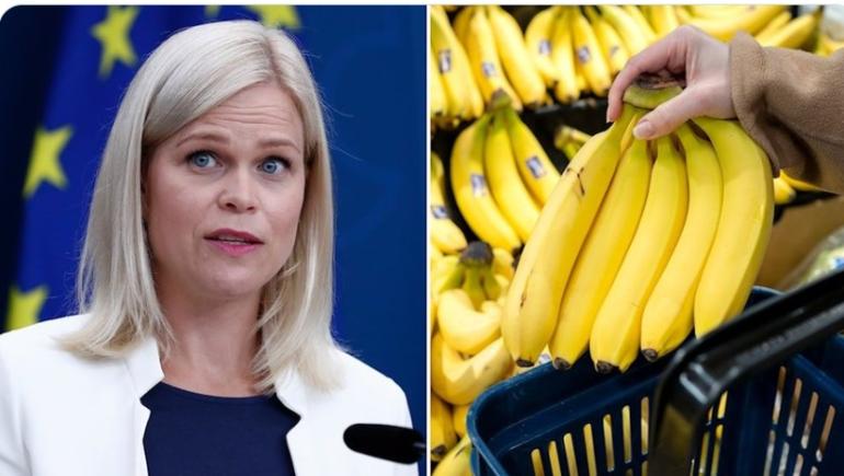 Ministrul suedez pentru Egalitatea de Gen a cerut să  nu existe banane în locurile vizitelor oficiale din cauza „bananafobiei” ei severe