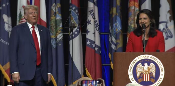 Turul european al lui Tulsi Gabbard: cel mai controversat punct este presupusa implicare a UE în anularea alegerilor prezidențiale din România