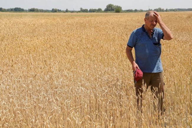 UE intenționează să reducă importurile de produse agricole ucrainene din iunie
