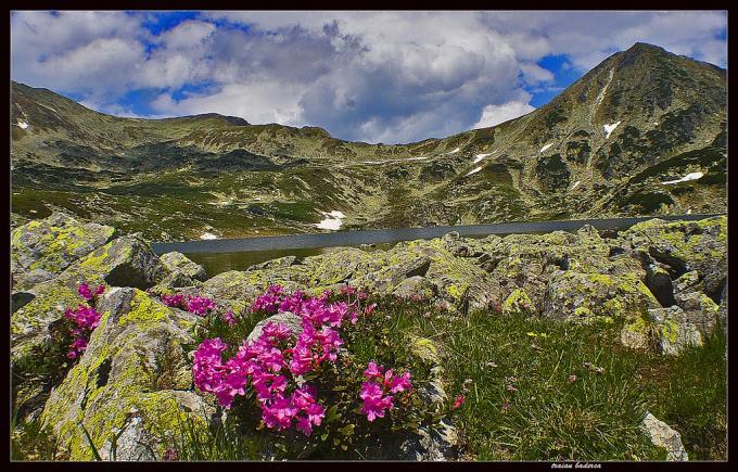 Fabuloasa Romanie. Traseu de Mai. De la Valea Pietrele spre Lacul Bucura