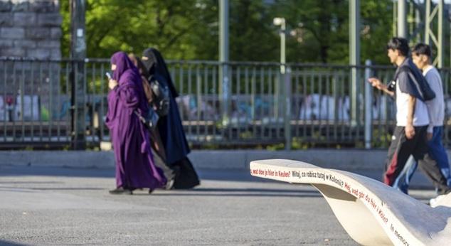 Germania: AfD a refuzat să semneze un acord între partide care interzice comentariile negative despre imigrația în masă