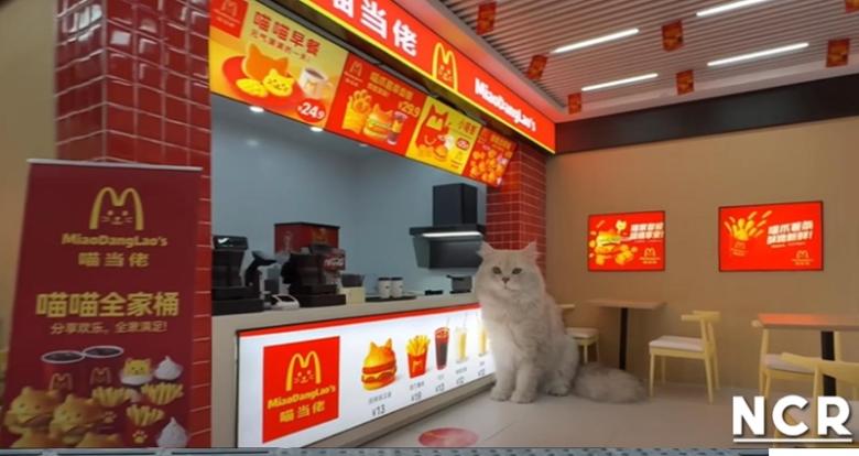 Metrou, Spa, McDonalds: Un YouTuber chinez a construit un orășel miniatural complet funcțional pentru pisicile sale