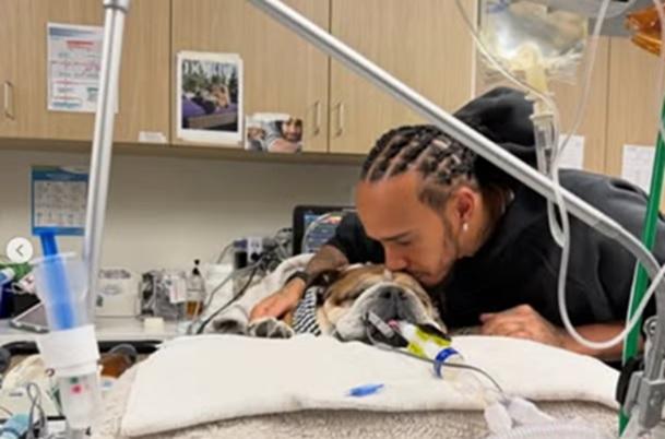 „Cea mai grea decizie din viața mea, mi-am pierdut ce mai bun prieten”: mesajul trist al pilotului Lewis Hamilton după moartea câinelui său Roscoe