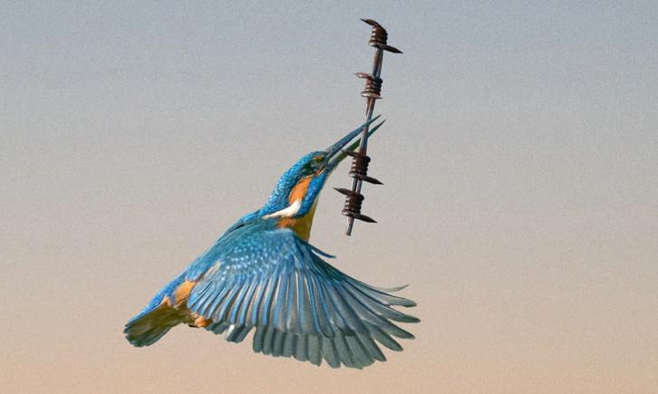 Noua cursă a înarmărilor din Occident: Vânzarea păcii pentru a cumpăra războiul