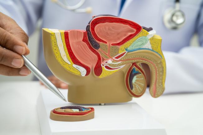 RMN Multiparametric de Prostată: tehnologia care elimină incertitudinea