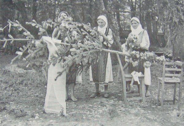 Tradiţii şi superstiţii. Sfaturi băbeşti. Să nu răsădeşti brad sau nuc, căci vei muri