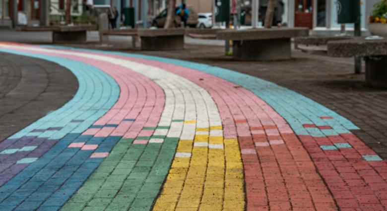 Consiliul Europei promovează interzicerea terapiei de conversie. Ar putea chiar incrimina conversațiile legitime dintre părinți și propriii copii