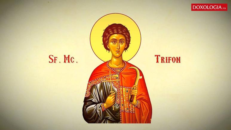 Calendar ortodox 1 februarie: Sfântul Mucenic Trifon