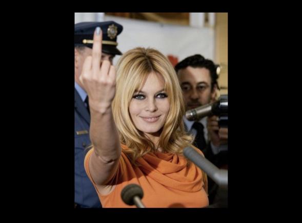 Huiduieli la adresa memoriei lui Brigitte Bardot la ceremonia premiilor César 2026: intoleranța celor care pretind că apără toleranța