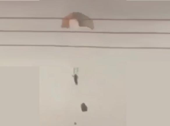 Kuweitul doboară din greșeală trei avioane americane în timpul unei operațiuni împotriva Iranului