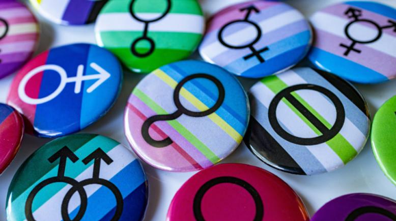 EXCLUSIV European Conservative: Indoctrinarea minorilor în materie de gen în Parlamentul European