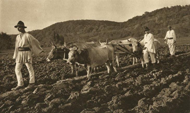 Tradiţii şi superstiţii. Obiceiuri din străbuni la arat şi semănat