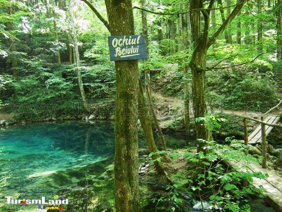 Fabuloasa Românie. Cheile Nerei – apă și stâncă