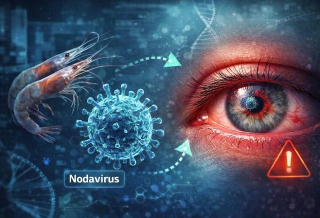Un virus provenit din China provoacă o boală oculară gravă și duce la orbire