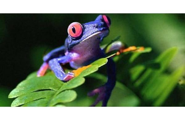 Tradiții și superstiții. Cum poți fi apărat de înec