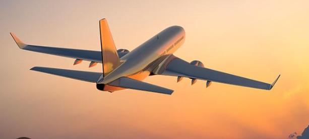 Cu canistra sau cartela la avion? 