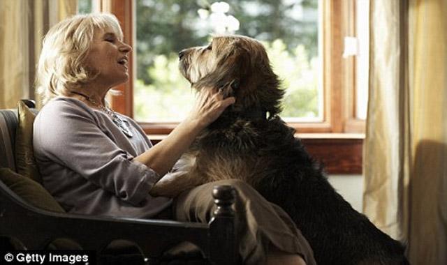 Proprietarii de câini au un indice de masă corporală mai mic