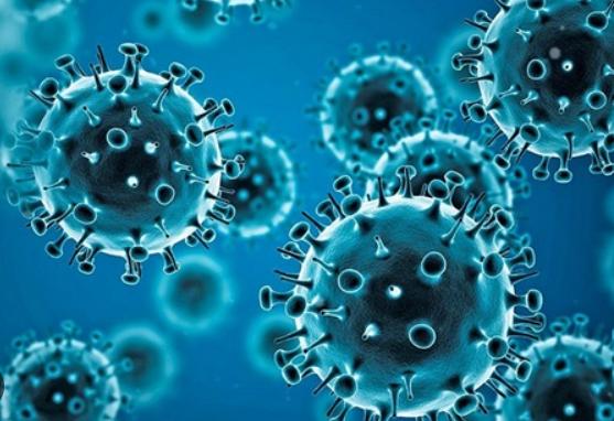 Lecția amară a pandemiei COVID -19: vaccinarea anti-COVID-19 între sănătate publică, libertate individuală și încredere socială