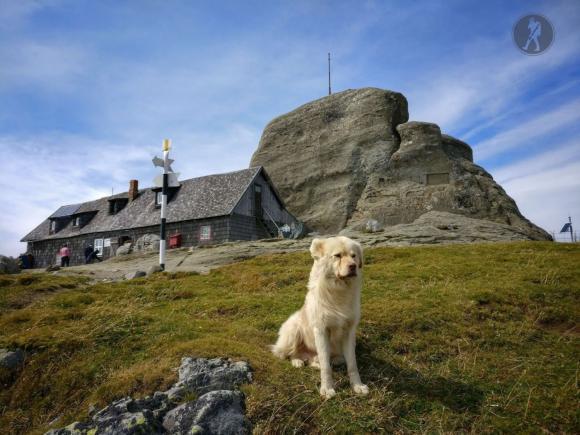 Fabuloasa Românie. Trasee montane. Sinaia - Omu - Mălăieşti - Pichetul Roşu - Buşteni