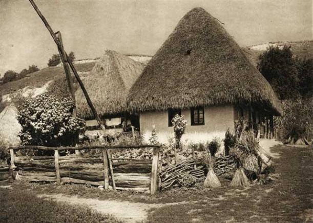 Circovii de vară – miezul verii pastorale