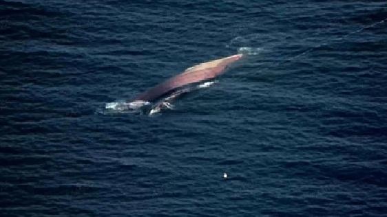 Risc de catastrofă ecologică în Marea Neagră după scufundarea navei Golden Leo: peste150 de tone de combustibil amenință coasta Odesei
