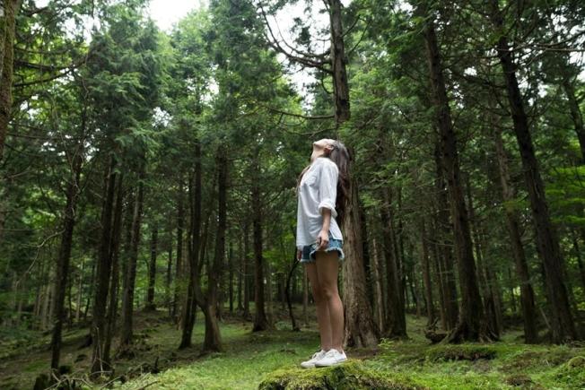 Aerul de pădure îți stimulează sistemul imunitar… timp de o lună întreagă, arată un studiu japonez