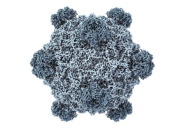 În timp ce lumea așteaptă tratamente din partea cercetătorilor știițifici, ei au alte preocupări - Inteligența artificială creează un virus nemaiîntâlnit până acum