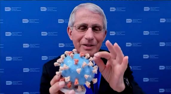 Noi mesaje arată că Dr. Anthony Fauci a fost avertizat cu privire la riscurile vaccinării femeilor gravide