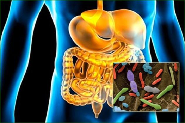 Modificarea florei intestinale, o soluție contra autismului!