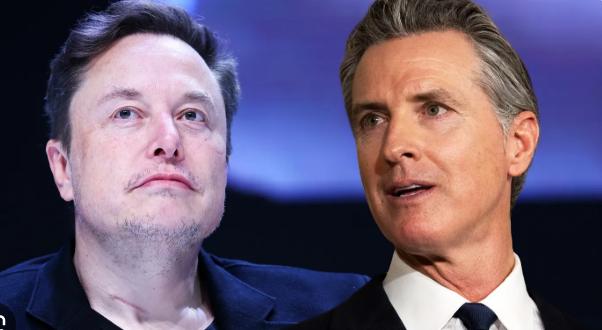 Musk: ”Bondari numărați, cuiburi de șobolani mutate și câini care adulmecă șopârle”. Ce spun documentele oficiale despre trenul de mare viteză al Californiei. 