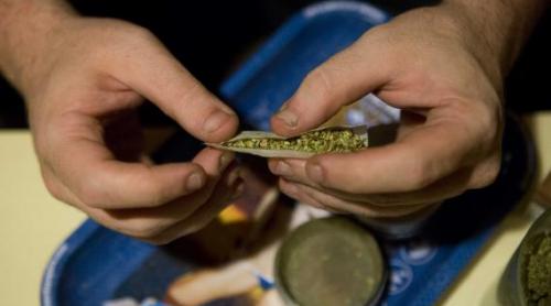 Ţigări cu marijuana, găsite în locuinţa adjunctului Poliţiei Locale Iaşi