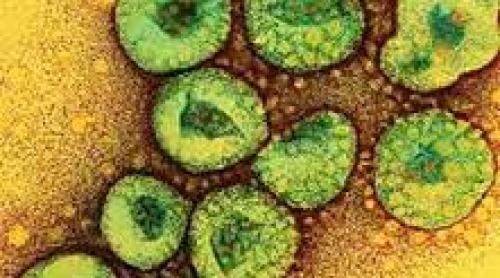 Atenţie! Coronavirusul care provoacă infecţii respiratorii chiar şi letale, s-a extins din Orientul Mijlociu în Coreea de Sud