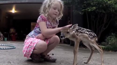 INCREDIBIL! Prietenia dintre o fetiţă din Australia și un pui de căprioară (VIDEO)