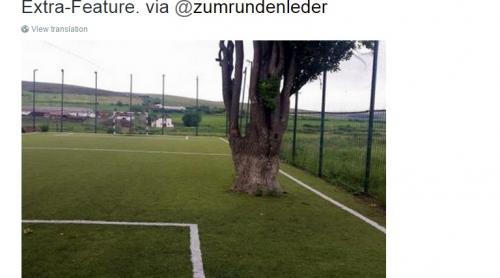 Terenul de fotbal cu pom din România a ajuns vedetă internațională