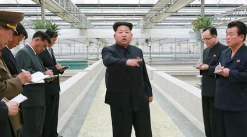 EXECUȚIE a la Kim Jong-un. Managerul unei ferme de broaște țestoase, ÎMPUȘCAT. Cu ce l-a supărat pe liderul de la Phenian (VIDEO)