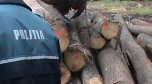 Descinderi la hoții de păduri din Buzău. 13 persoane, duse la audieri. Prejudiciul depășește 100.000 lei