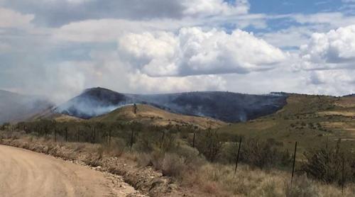 Cum a dat foc un biciclist la 29 de hectare de pădure pentru că... și-a făcut nevoile