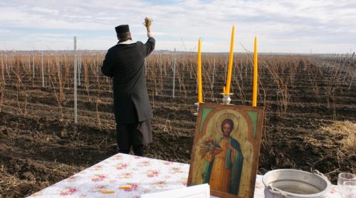  CHEMAREA PLOII. Patriarhia Română, îndemn la rugăciuni pentru a alunga seceta 