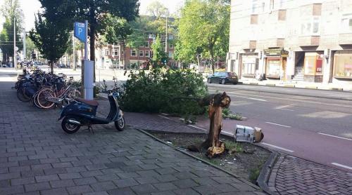 Olanda, cod roșu de furtună. Vântul a ajuns la 120 km/oră (foto)