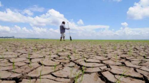 România, pierderi de 2 miliarde de euro din cauza secetei. Sunt posibile scumpiri în lanț