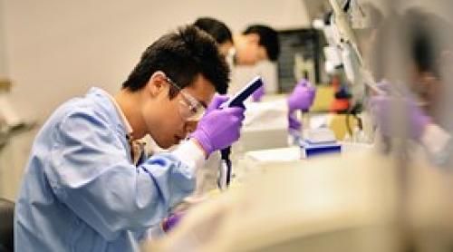 Japonia: primul laborator pentru studiul virusurilor ucigaşe pentru om