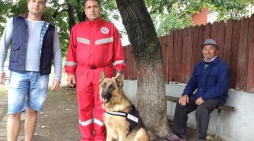 Kasim, câinele erou care a salvat viaţa unui bătrân din Mischii